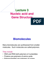 Lecture 3 DNA RNA Gen Structure Ade FKUI 2012