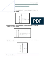 Practica 3 - Miembros en Compresion