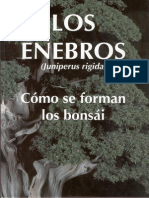 Bonsai - Los Enebros - Como Se Forman Los Bonsai