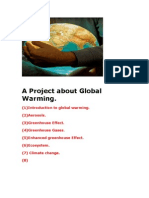 A Project About Global Warming