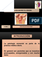 Patologia Anorrectal