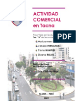 Actividad Comercial en Tacna