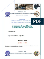 Informe Auditoria Ambiental Curtiembre