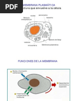 Biologia Celular - Clase 04