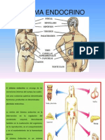 Eje Neuroendocrino