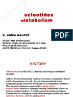 Nucleotide Metabolism