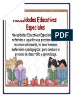 Ensayo "Necesidades Educativas Especiales