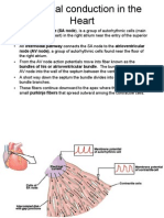 Electrical Conduction in The Heart