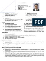 Curriculum Vitae (Una Hoja)