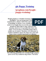 Beagle Puppy Training - Http://praphan - Com/beagle-Puppy-Training