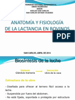 Anatomía y Fisiología de La Lactancia en Bovinos (Eddy Mar)