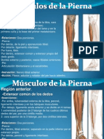 Musculos de Miembro Inferior