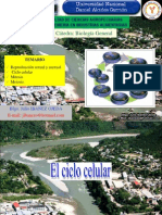 Reproduccion Celular PDF