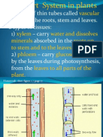 Transport System in Plants