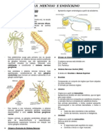 Sistema Nervoso e Endócrino Pré Seed