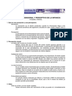 Desarrollo Sensorial y Perceptivo de La Infancia 0