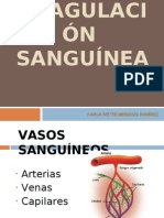 Coagulación Sanguínea