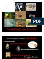 Diversidade Dos Animais