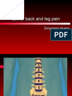 Degenerative Disorders of Lumbar Spine