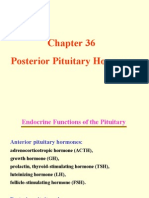 Posterior Pituitary Hormones