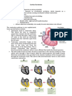 Cardiac Excitation