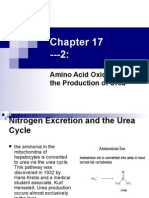 Amino Acid Oxidation and The Production of Urea