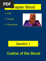 Chapter Blood: RBC Platelet Hemostasis