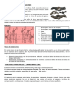 BALANCINES de Dibujo Tecnico