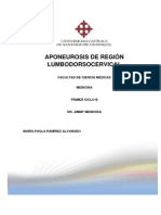 Aponeurosis de Región Lumbodorsocervical