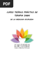 Curso Teorico Practico de Terapia Sabai