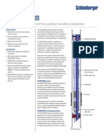 Quantum Frac Gravel Pack System