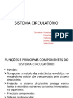 Sistema Circulatório