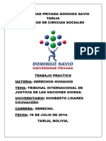 Universidad Privada Domingo Savio DD HH