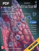 Extracto de Patología Estructural PDF