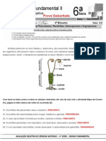 Atividades Sobre Plantas