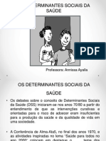 Os Determinantes Sociais Da Saúde