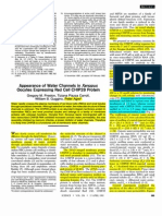 Appearance of Water Channels in Xenopus Oocytes Expressing Red Cell CHIP28 Protein