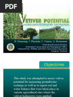 Potential of Vetiver For Groundwater Recharge