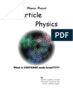 Physics Project: Particle Physics