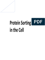 Protein Sorting