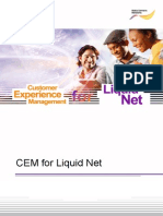 Cem For LN Executive Summary 261012