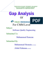 Gap Analysis