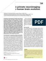 1 - Rilling 2014 Comparative Primate Neuroimaging