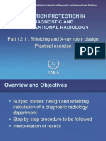 RPDIR-P12.1 Shielding Calculation WEB