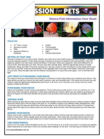 Discus Care Sheet