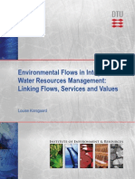 Enviromental Flow