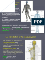 Three Main Functions:: The Nervous System Is The Master Controlling System of The Body