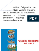 Pueblos Originarios de Chile