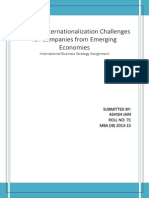 Internationalization Challenges For Companies in Emerging Markets PDF