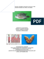 Biología Básica Del Cocobolo (Aequidens Pulcher Gill, 1858) en La Ciénaga Grande de Lorica, Colombia
